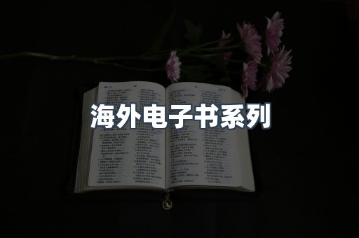 海外电子书系列